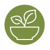 bowl with leaves icon